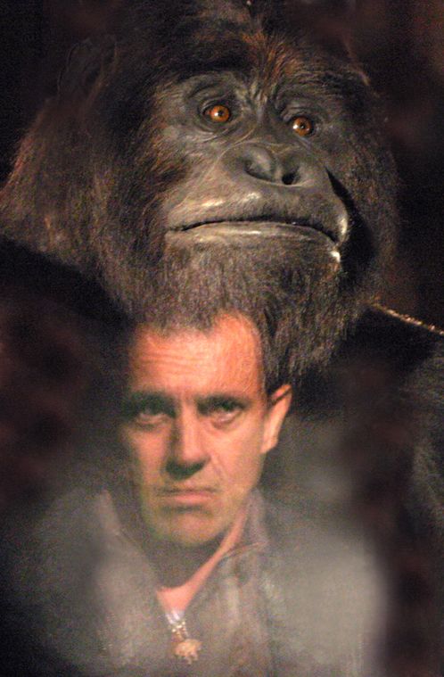 Photo d'un reflet du visage de thierry beccaro sur une vitrine avec un gorille dedans.