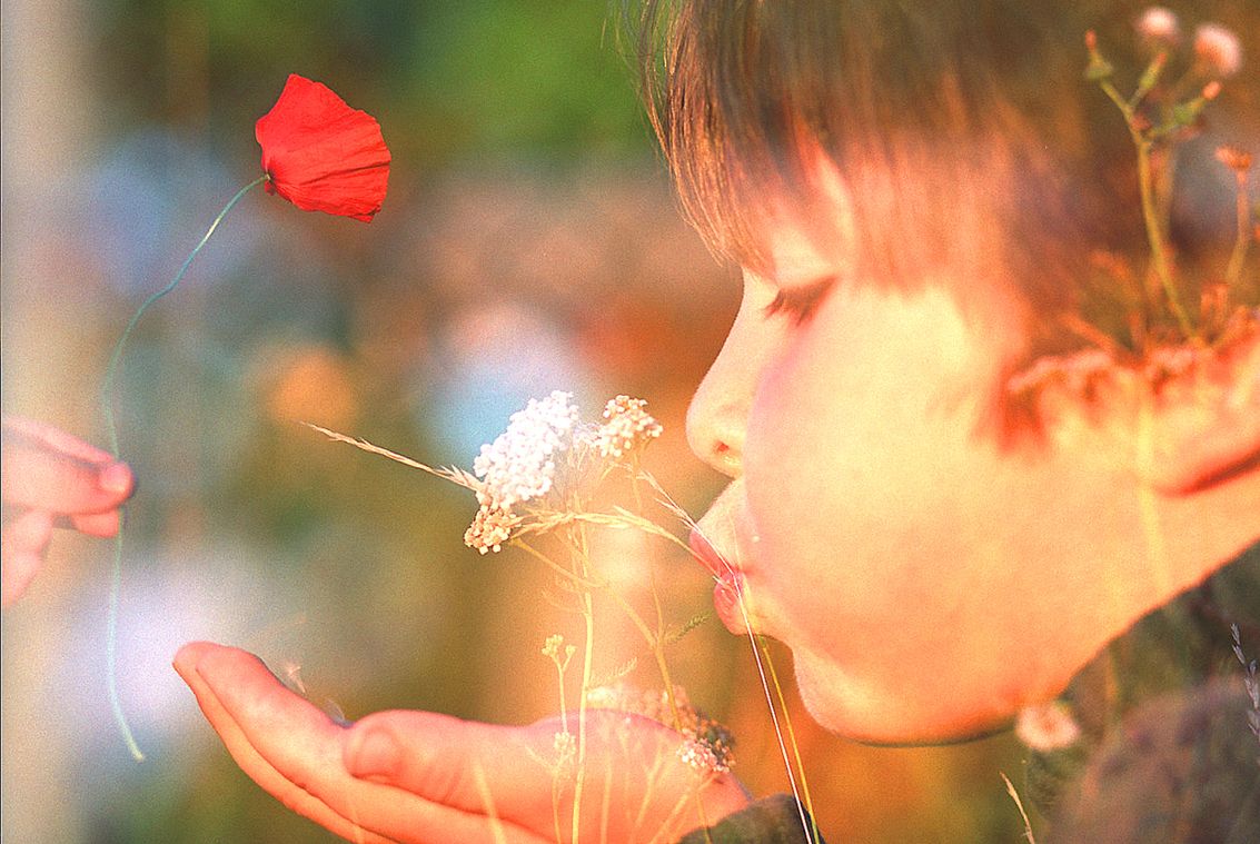 photo couleur d'un enfant soufflant dans sa main vers un coquelicot.