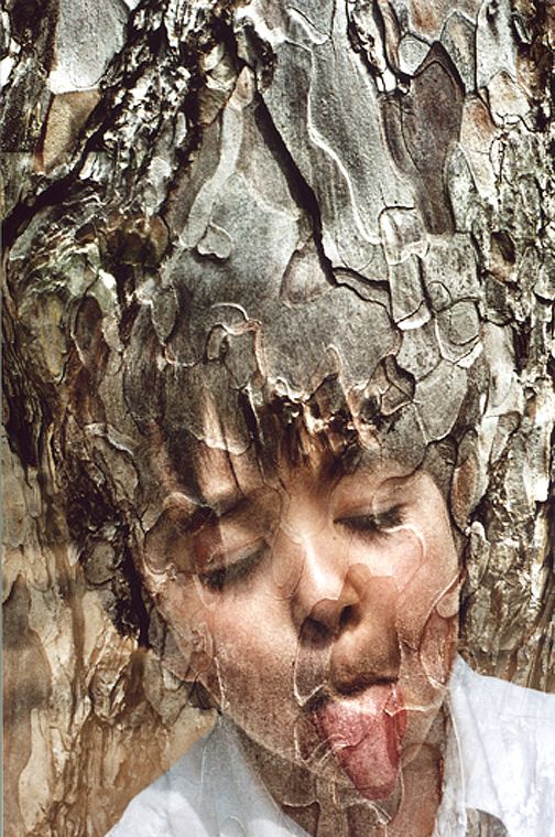 image d'un tronc d'arbre superposée avec celle d'un enfant tirant la langue.